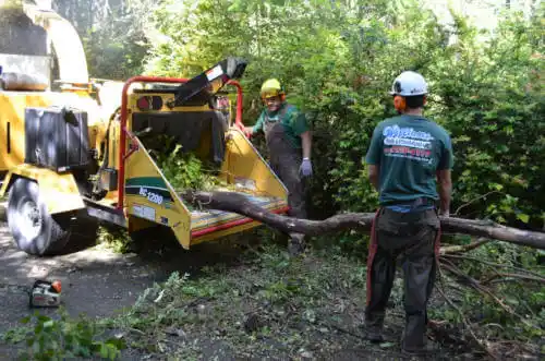 tree services East Quincy